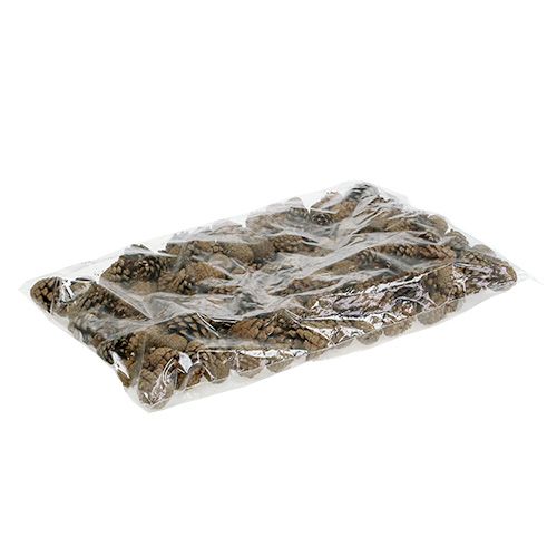 Floristik24 Kalniniai kankorėžiai Kankorėžiai 2kg