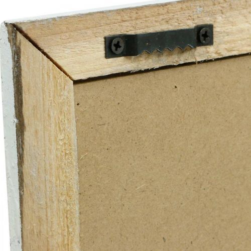 daiktų Vintažinė sienų apdaila, paveikslas su rėmu medienos džiovintas augalas 40×50cm