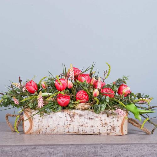 Floristik24 Augalų dėžė beržas su virvinėmis rankenomis 38x16cm H9cm