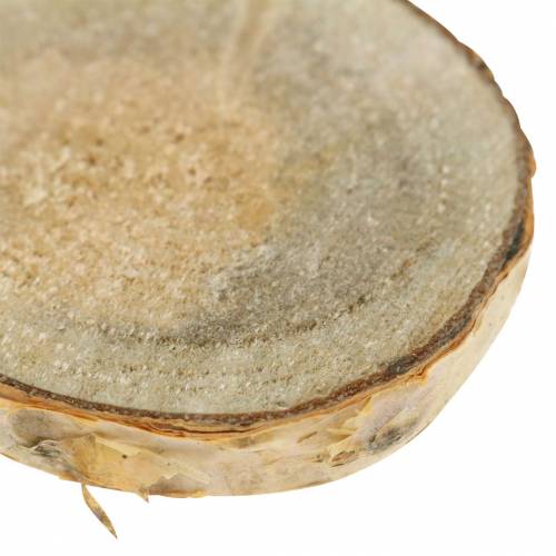 Floristik24 Beržo griežinėliai apvalūs natūralūs 5cm 1kg dekoravimui su žieve