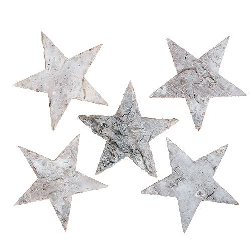daiktų Beržo žvaigždė baltinta 6,5cm 36 vnt