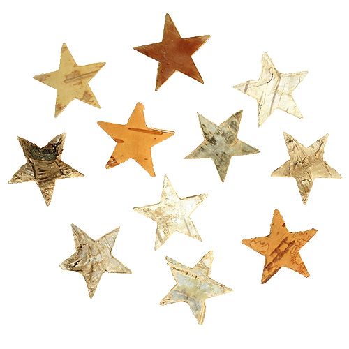 Floristik24 Birch Stars Mini 300vnt