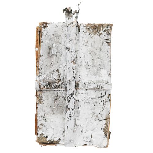 Floristik24 Žievės griežinėliai 20cm x 12cm balti, skalbti 8 vnt