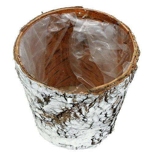 daiktų Beržo vazonas vidutinio augalo vazonas beržas baltas Ø12cm H10,5cm 4 vnt