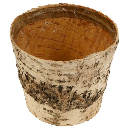 daiktų Beržinis vazonas Ø15cm H13cm