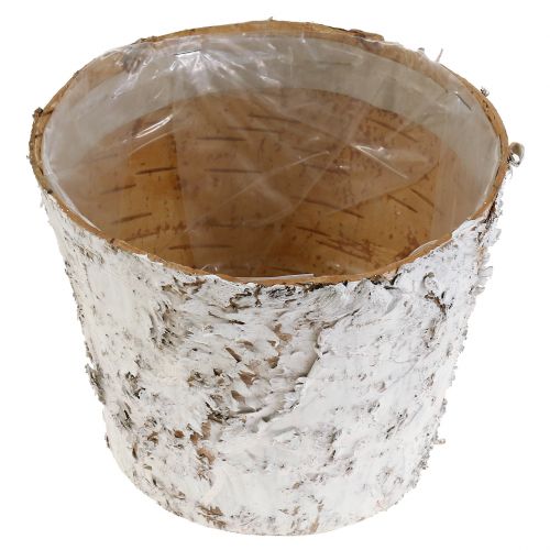 daiktų Dekoratyvinis vazonas balinto beržo augalų vazonas Ø18cm H15cm 2vnt