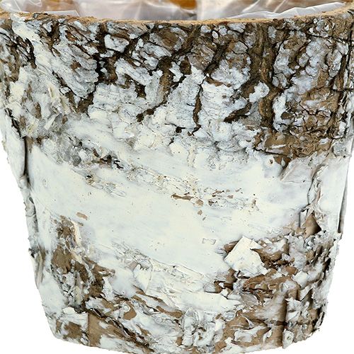 daiktų Beržo vazonas mini balto vazono vazonas Ø7cm H7cm 10vnt