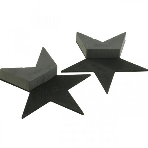 daiktų OASIS® Black Bioline® Floral Foam Star Black H30cm 2 vnt