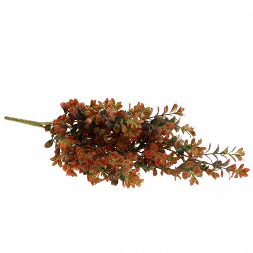 Floristik24 Dekoratyvinė buksmedžio šakelė rudeninė 50cm