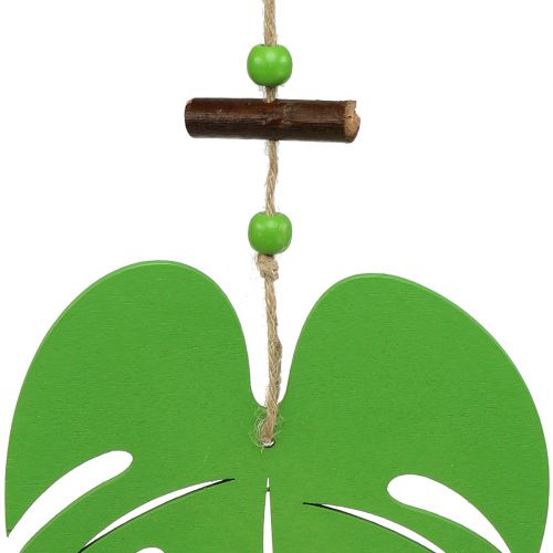 Floristik24 Lapelis 14,5cm pakabinimui Green