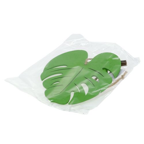 Floristik24 Lapelis 14,5cm pakabinimui Green