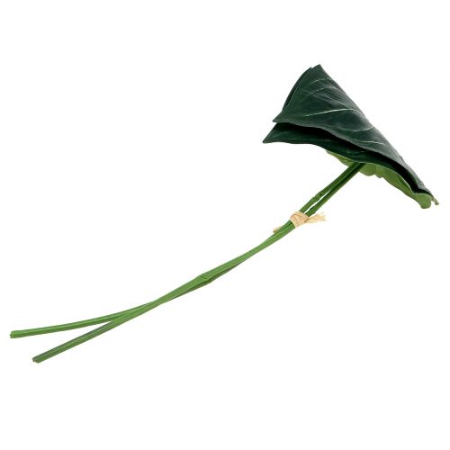 Floristik24 Kaladžio lapas 32cm 2vnt