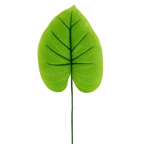Floristik24 Dekoratyvinis lapas Funkie, Hosta 40cm 5vnt