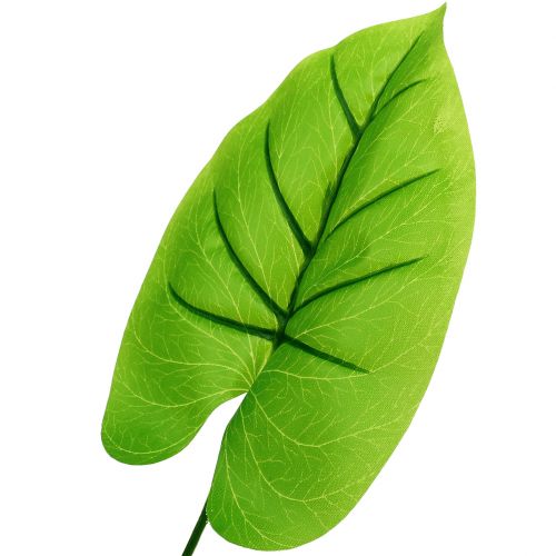 Floristik24 Dekoratyvinis lapas Funkie, Hosta 40cm 5vnt