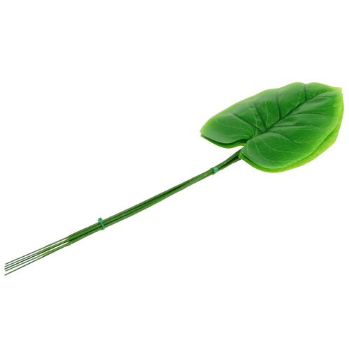 Floristik24 Dekoratyvinis lapas Funkie, Hosta 40cm 5vnt