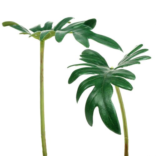 daiktų Lapas Filodendras 31cm Žalias 12 vnt