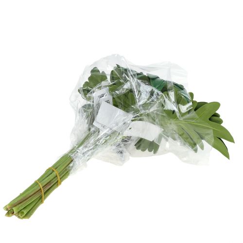 daiktų Lapas Filodendras 31cm Žalias 12 vnt