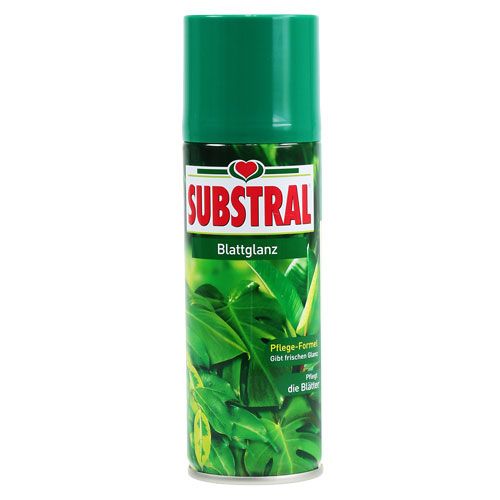 Floristik24 Lapų blizgesys 200ml