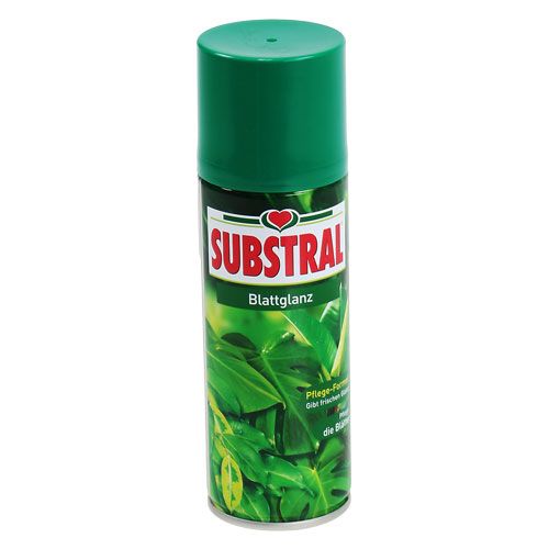 Floristik24 Lapų blizgesys 200ml