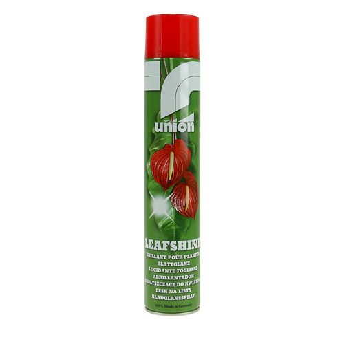 Floristik24 Lapų blizgesio purškiklis 400 ml