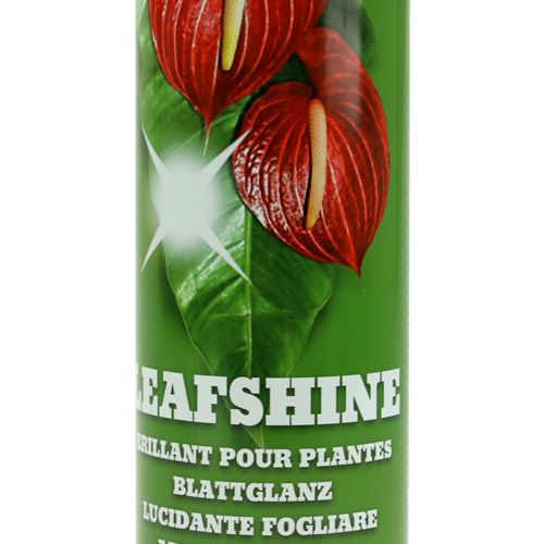 Floristik24 Lapų blizgesio purškiklis 400 ml