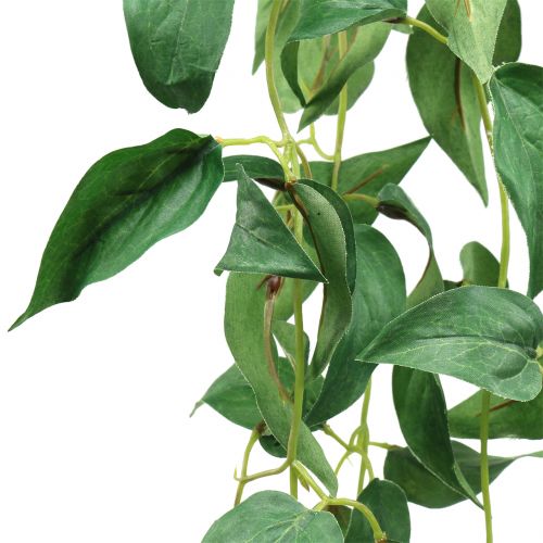 Floristik24 Lapų pakaba žalia 160cm