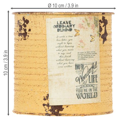 daiktų Dekoratyvinė skardinė-skardinė metalinė vazonėlė su abrikosų spalva, Ø11 cm, aukštis 10,5 cm