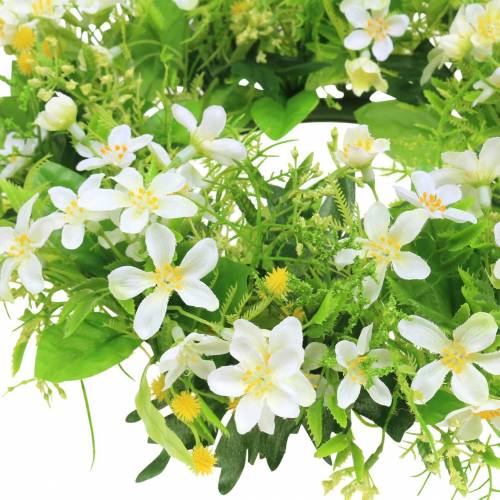 Floristik24 Vainikas anemonas/krapai žalias, baltas Ø30cm