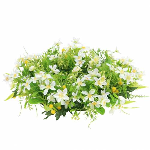Floristik24 Vainikas anemonas/krapai žalias, baltas Ø30cm