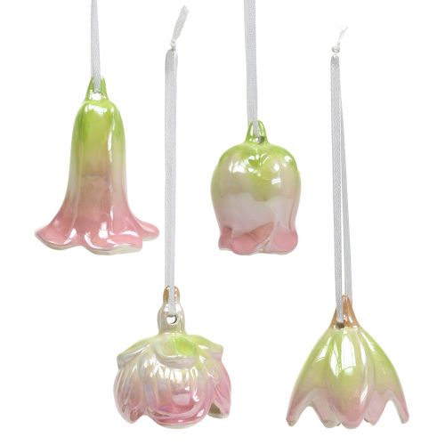 Floristik24 Žiedų varpelių mišinys 5,5cm - 7,5cm 4vnt