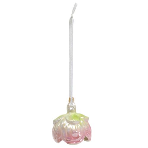 Floristik24 Žiedų varpelių mišinys 5,5cm - 7,5cm 4vnt