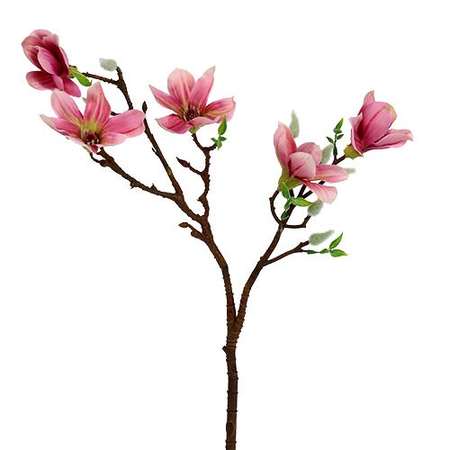 Floristik24 Magnolia mini rožinė, rožinė L53cm 3vnt