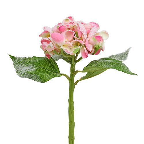 Hortenzija rožinė snieguota 33cm 4vnt