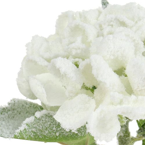daiktų Hortenzija balta sniegu 33cm 4vnt