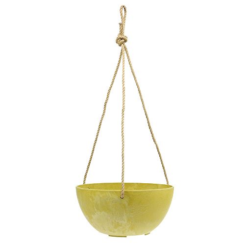 Floristik24 Gėlių krepšelis Fiona Ø25cm H12cm Citrina