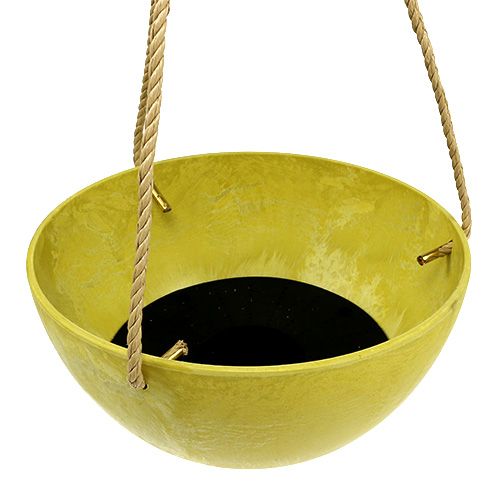 Floristik24 Gėlių krepšelis Fiona Ø25cm H12cm Citrina