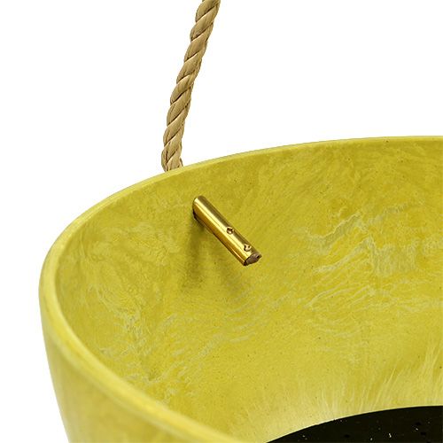 Floristik24 Gėlių krepšelis Fiona Ø25cm H12cm Citrina