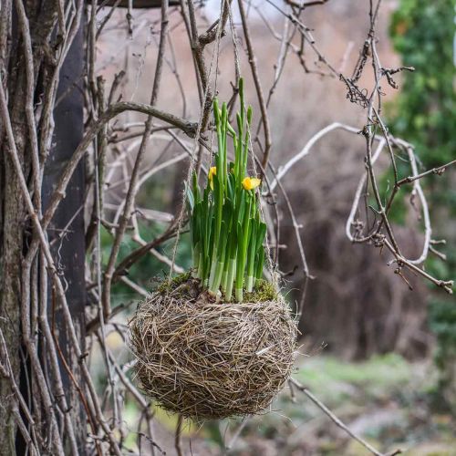 Floristik24 Blumenampel Heu Natur Plant krepšelis pakabinimui Pakabinamas vazonas Ø20cm