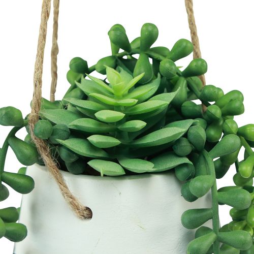 daiktų Pakabinami krepšeliai sukulentai dirbtinė žalia asorti 18cm 3vnt