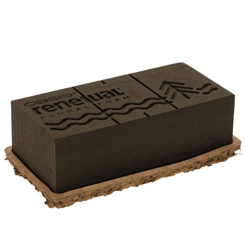 Gėlių putos 1/1 plyta OASIS® Renewal® Gėlių putos Biolit® 24 cm 2 vnt.