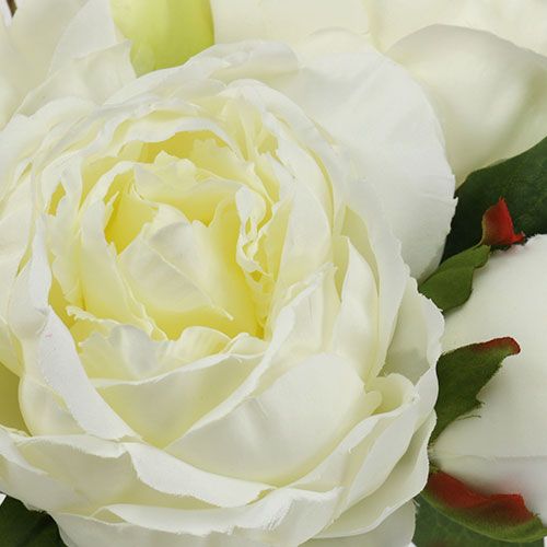 Floristik24 Bijūnų puokštė balta L30cm