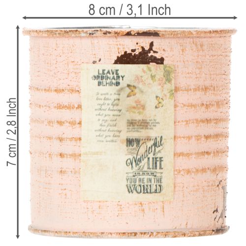 daiktų Dekoratyvinis gėlių vazonas lašišos metalinėje žolelių dėžutėje Ø8cm A7.5cm