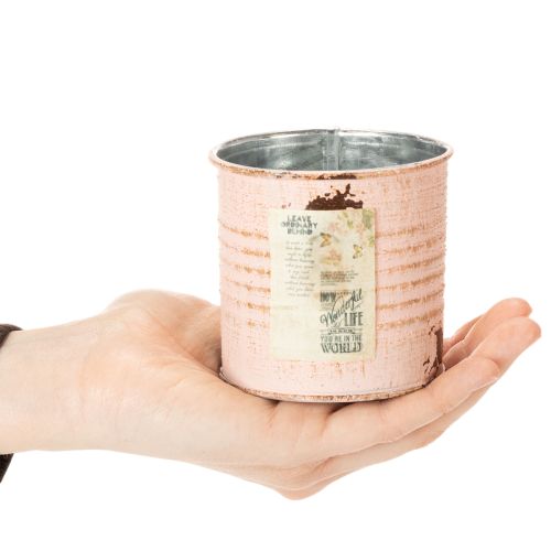 daiktų Dekoratyvinis gėlių vazonas lašišos metalinėje žolelių dėžutėje Ø8cm A7.5cm