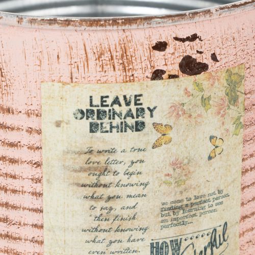 daiktų Dekoratyvinis lašišos formos metalinis vazonas Ø15,5 cm, aukštis 15 cm