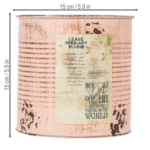 daiktų Dekoratyvinis lašišos formos metalinis vazonas Ø15,5 cm, aukštis 15 cm