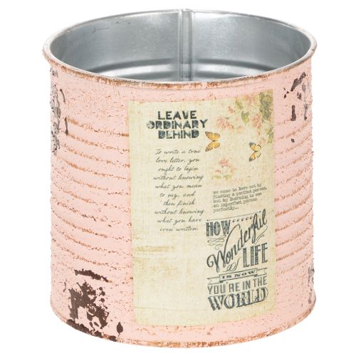 Floristik24 Gėlių vazonas, dekoratyvinis lašišos formos metalinis, vasaros dekoracija, Ø11cm, aukštis 10.5cm