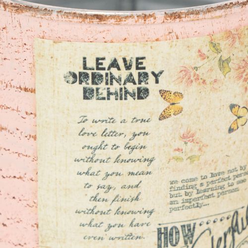 daiktų Gėlių vazonas, dekoratyvinis lašišos formos metalinis, vasaros dekoracija, Ø11cm, aukštis 10.5cm