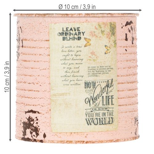 daiktų Gėlių vazonas, dekoratyvinis lašišos formos metalinis, vasaros dekoracija, Ø11cm, aukštis 10.5cm