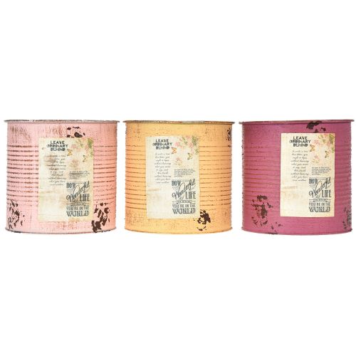 daiktų Vintažinio dizaino gėlių vazonai svetainei ir biurui, 15 cm, 3 vnt.