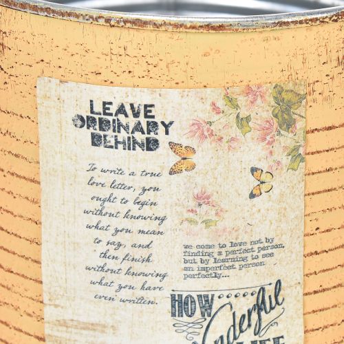 daiktų Vintažinio dizaino gėlių vazonai svetainei ir biurui, 15 cm, 3 vnt.